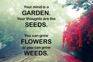 Your mind is a garden, your thoughts are the seeds